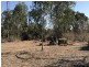 30 Morgan Road, Kalapa QLD 4702
