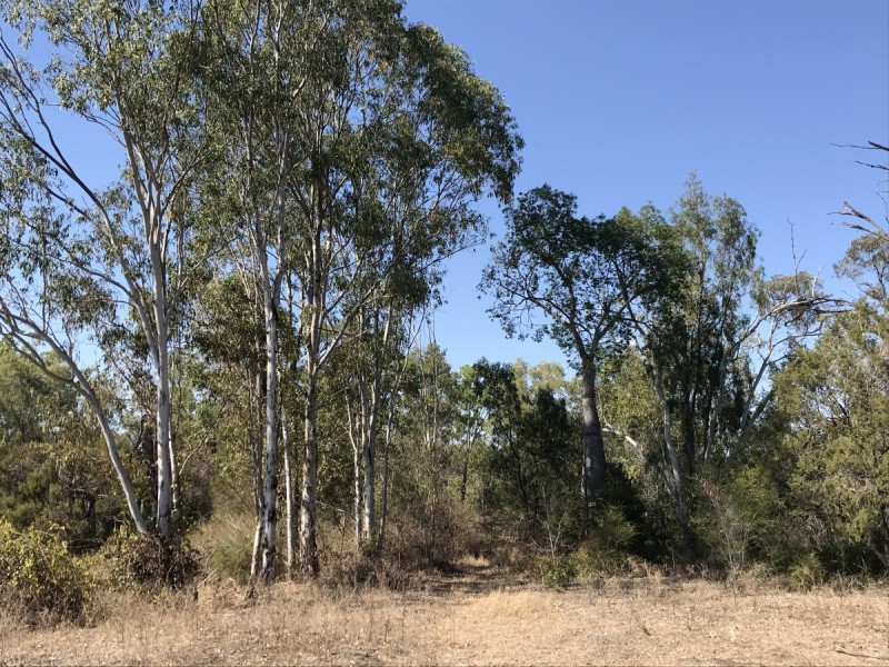 30 Morgan Road, Kalapa QLD 4702