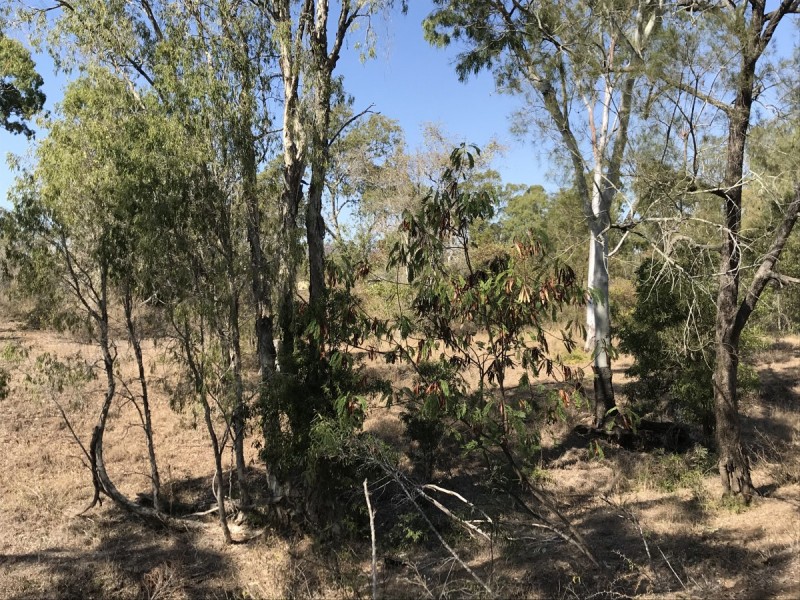 30 Morgan Road, Kalapa QLD 4702