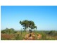 305 Fairmont Terrace, Rockyview QLD 4701
