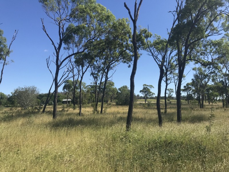 45 Steiners Road, Etna Creek QLD 4702