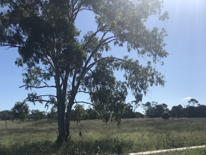 45 Steiners Road, Etna Creek QLD 4702