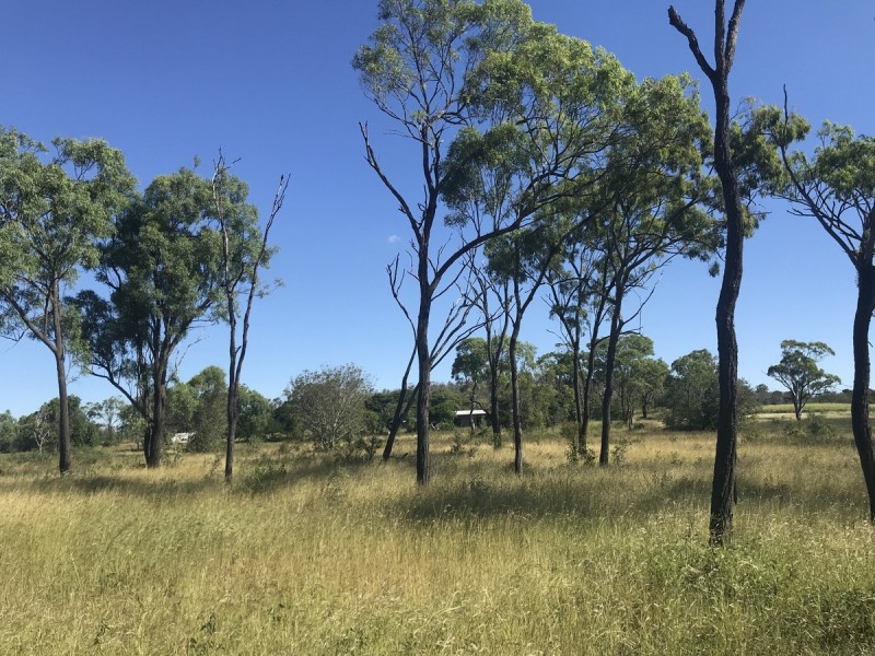 45 Steiners Road, Etna Creek QLD 4702