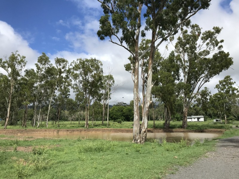 49 Gumtree Avenue, Bouldercombe QLD 4702