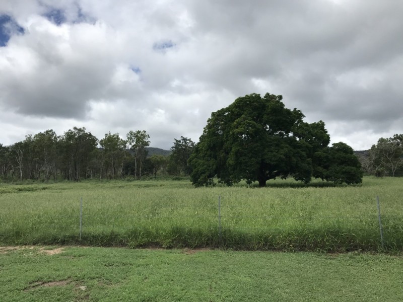 49 Gumtree Avenue, Bouldercombe QLD 4702