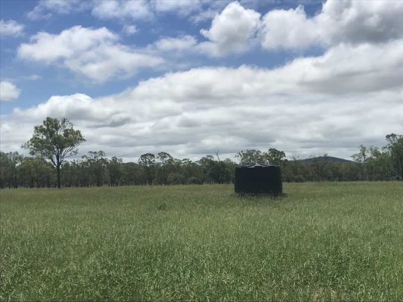 197 Brickworks Road, Bushley QLD 4702