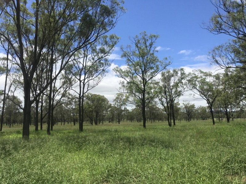 197 Brickworks Road, Bushley QLD 4702
