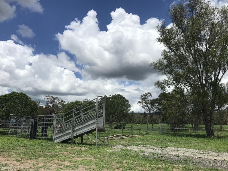 197 Brickworks Road, Bushley QLD 4702