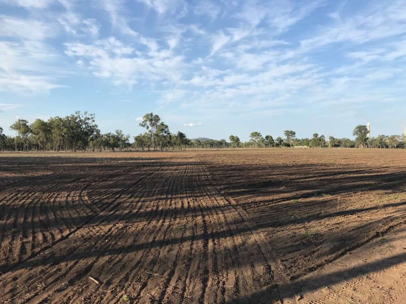 197 Brickworks Road, Bushley QLD 4702