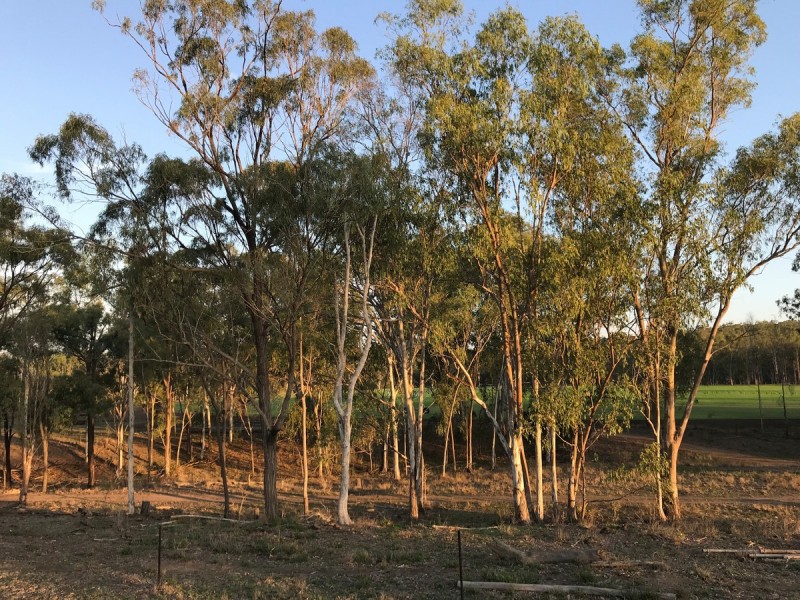 197 Brickworks Road, Bushley QLD 4702