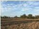 197 Brickworks Road, Bushley QLD 4702