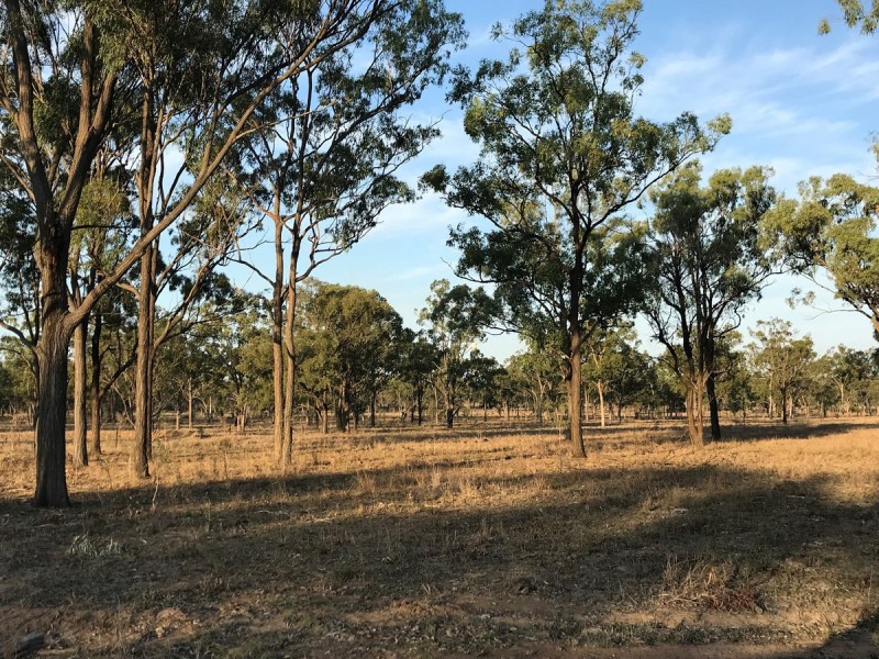 197 Brickworks Road, Bushley QLD 4702