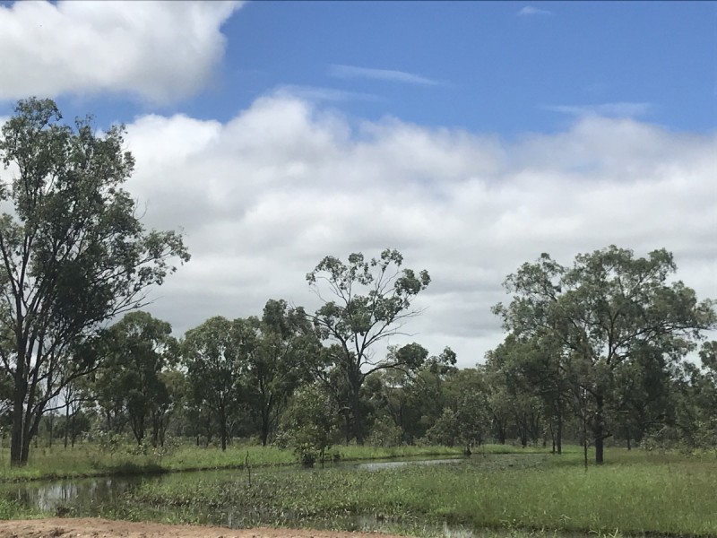197 Brickworks Road, Bushley QLD 4702