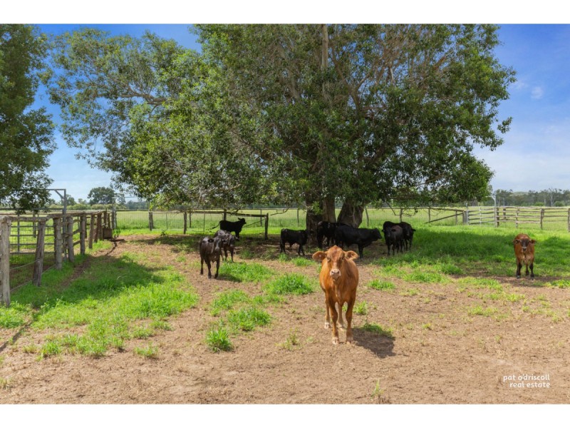 649 & 669 Belmont Road, Glenlee QLD 4711
