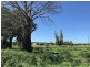 110 Mills Road, Gogango QLD 4702