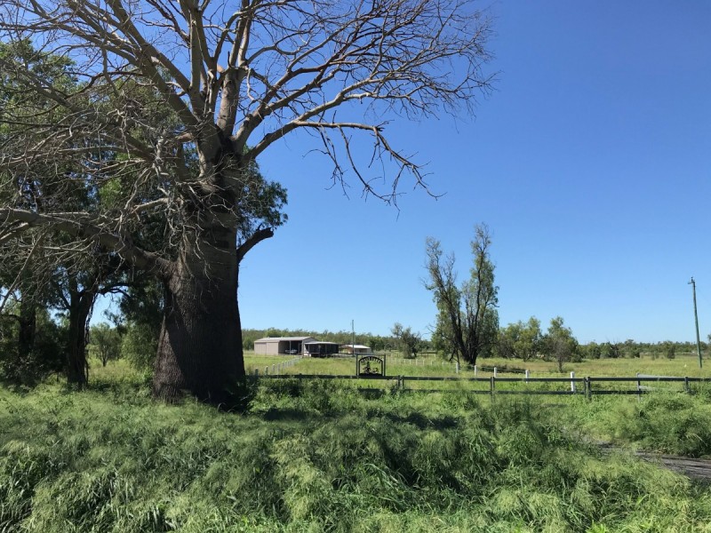 110 Mills Road, Gogango QLD 4702