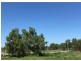 110 Mills Road, Gogango QLD 4702