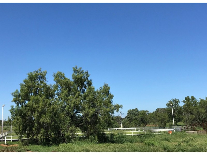 110 Mills Road, Gogango QLD 4702