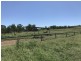 110 Mills Road, Gogango QLD 4702