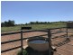 110 Mills Road, Gogango QLD 4702