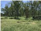 110 Mills Road, Gogango QLD 4702