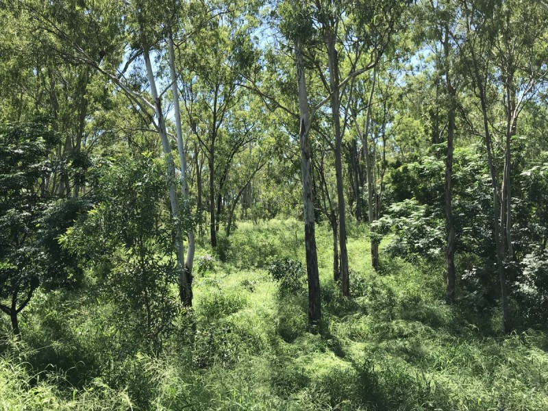 110 Mills Road, Gogango QLD 4702