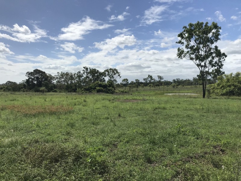 45 Spragg Road, Alton Downs QLD 4702