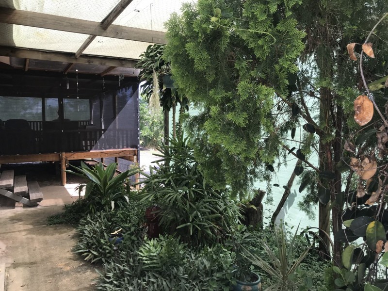 45 Spragg Road, Alton Downs QLD 4702