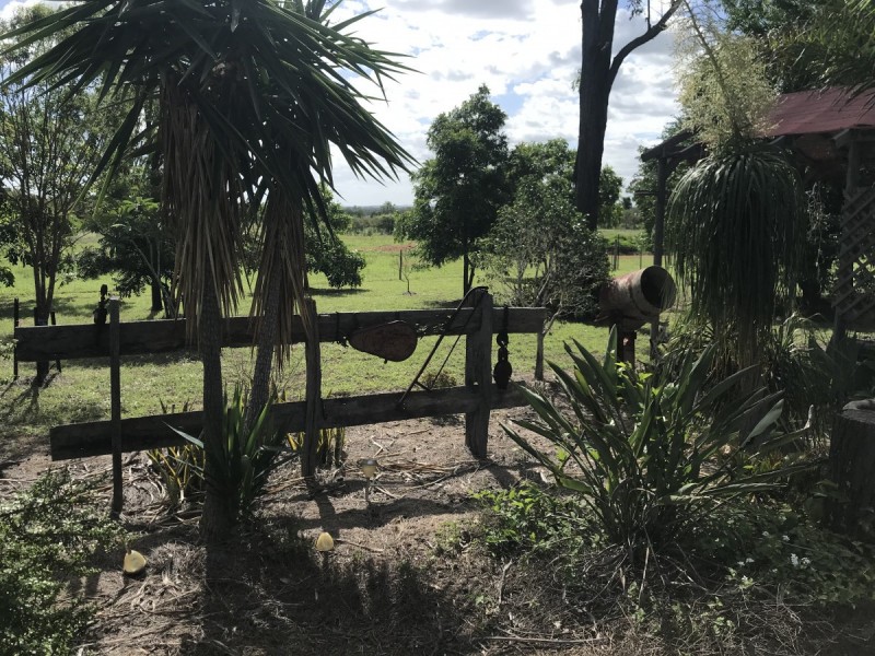 45 Spragg Road, Alton Downs QLD 4702