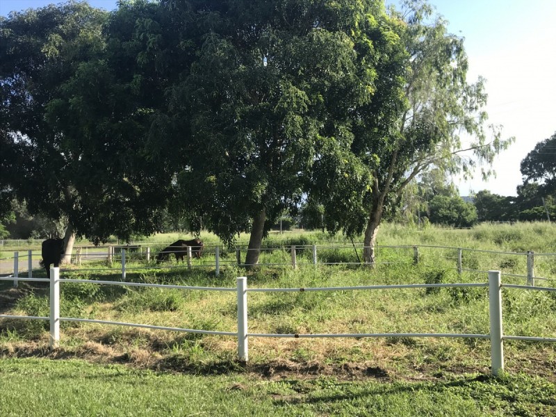 5 Bernard Street, Berserker QLD 4701
