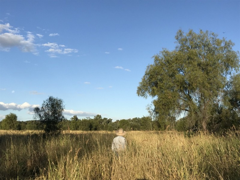 1581 Boolburra-Edungalba Road, Gogango QLD 4702