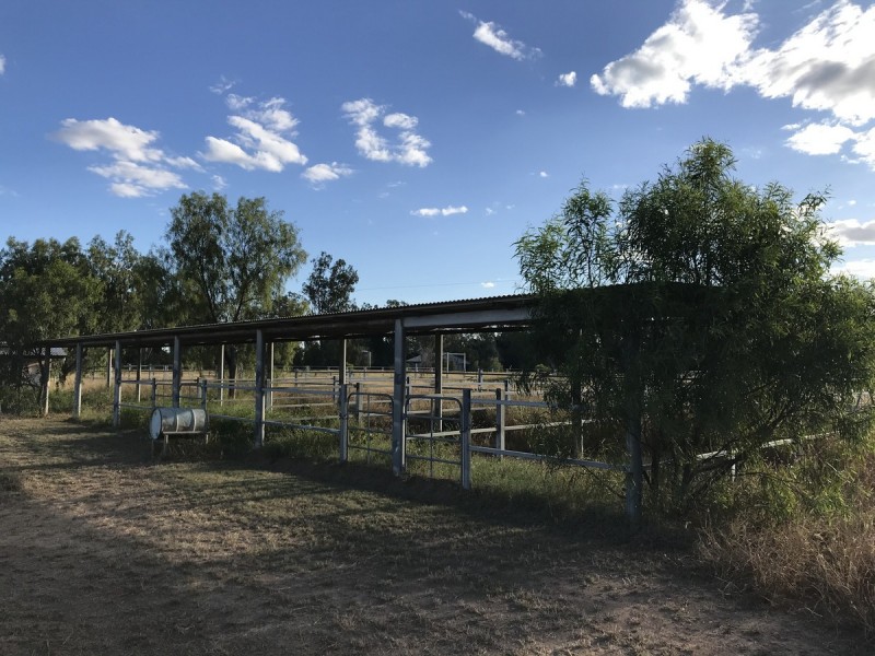 1581 Boolburra-Edungalba Road, Gogango QLD 4702