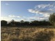 1581 Boolburra-Edungalba Road, Gogango QLD 4702