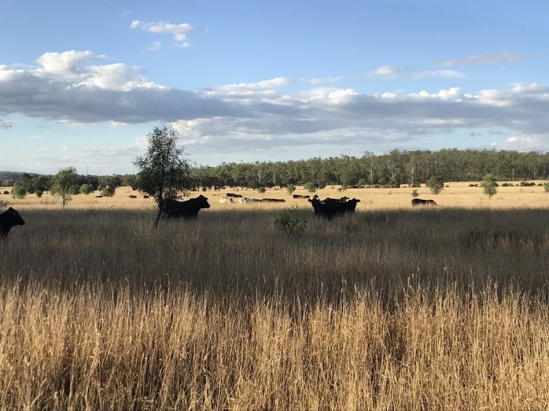1581 Boolburra-Edungalba Road, Gogango QLD 4702