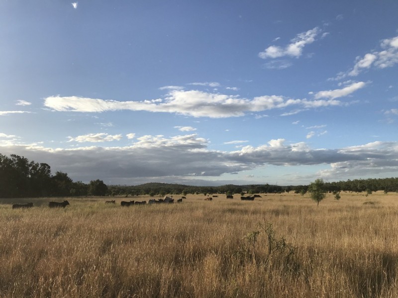 1581 Boolburra-Edungalba Road, Gogango QLD 4702