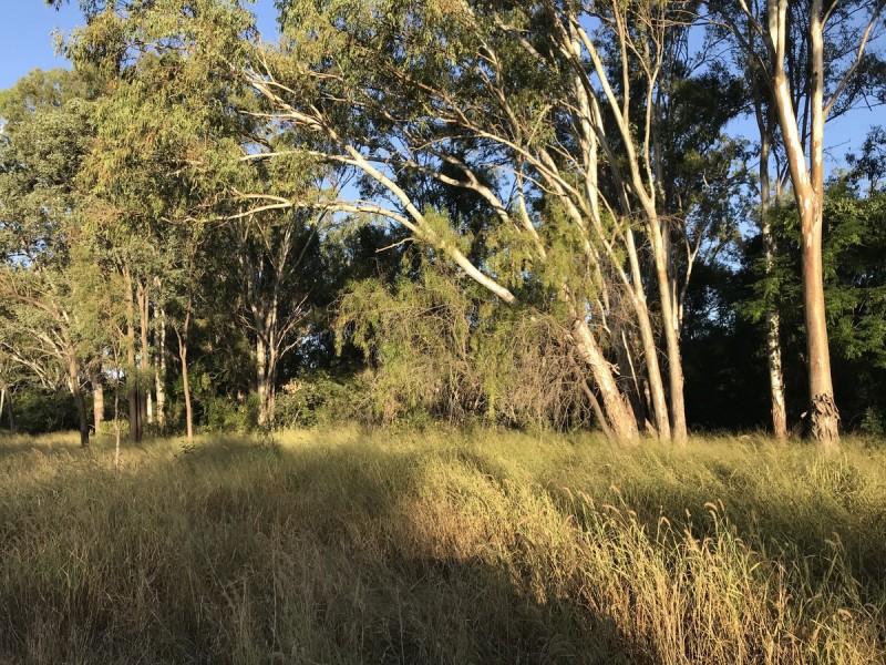 1581 Boolburra-Edungalba Road, Gogango QLD 4702