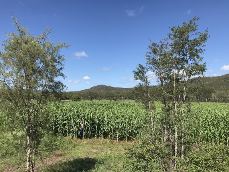 307 Connors Road, Stanwell QLD 4702