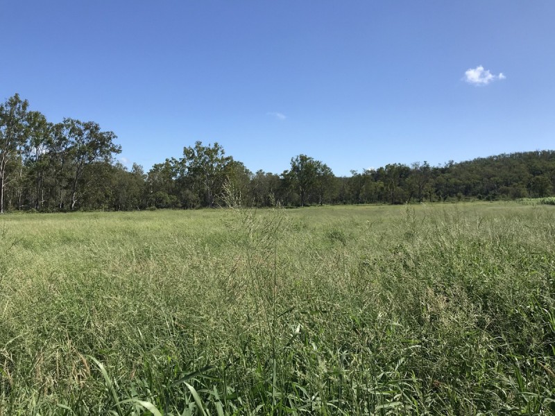 307 Connors Road, Stanwell QLD 4702
