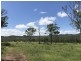 307 Connors Road, Stanwell QLD 4702
