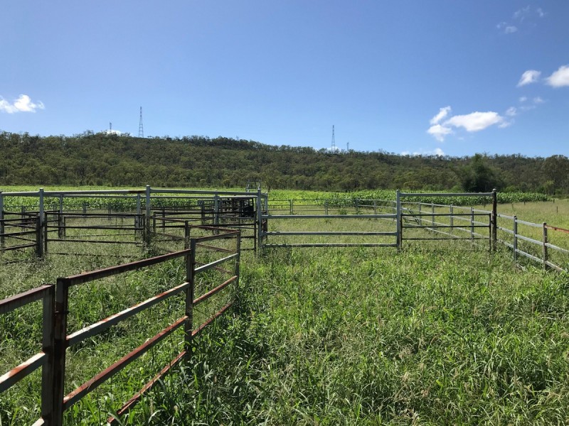 307 Connors Road, Stanwell QLD 4702