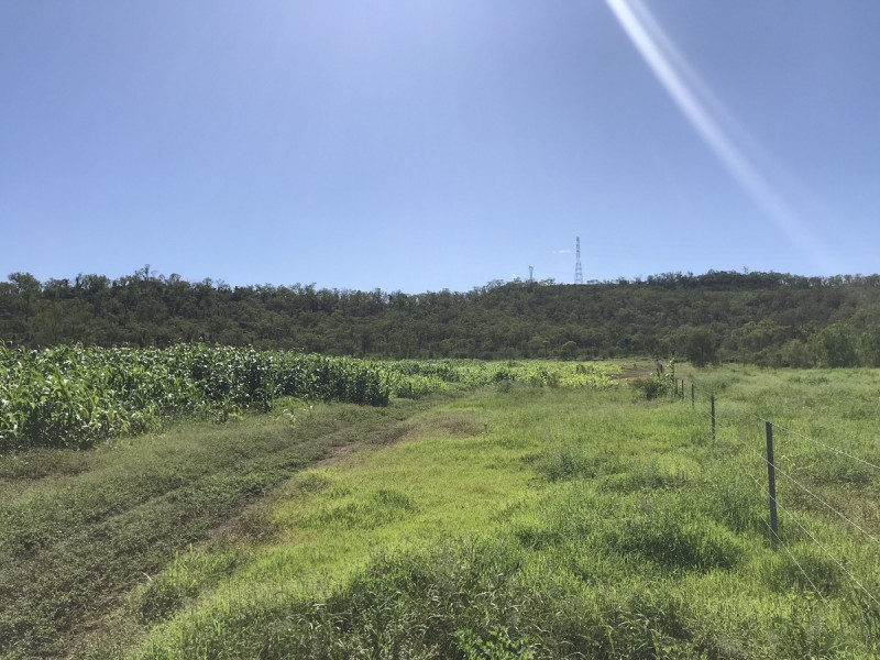 307 Connors Road, Stanwell QLD 4702