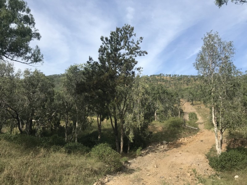 494 Yeppoon Road, Limestone Creek QLD 4701