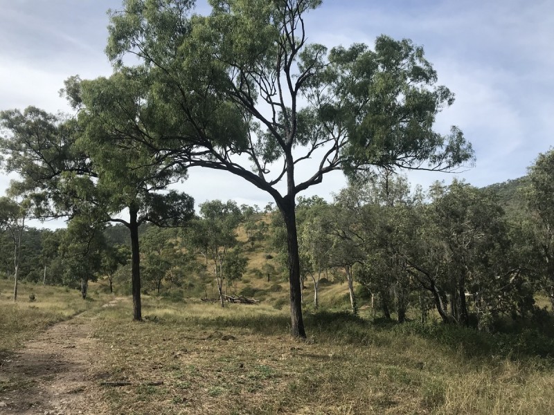 494 Yeppoon Road, Limestone Creek QLD 4701