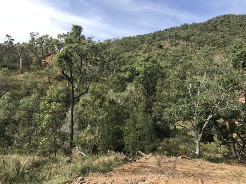 494 Yeppoon Road, Limestone Creek QLD 4701