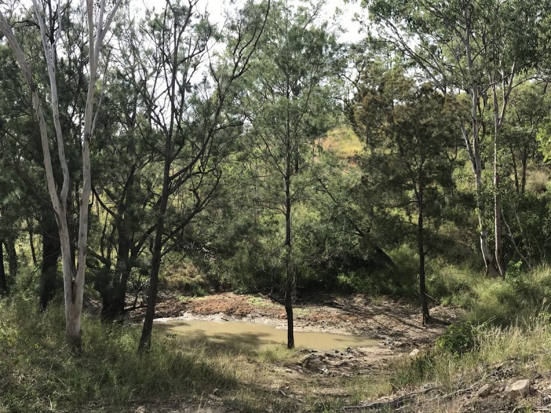 494 Yeppoon Road, Limestone Creek QLD 4701