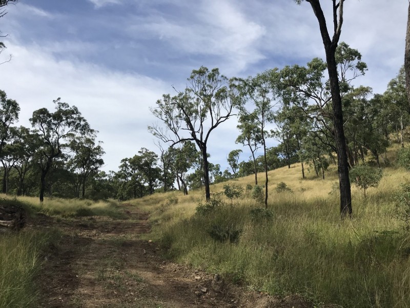 494 Yeppoon Road, Limestone Creek QLD 4701