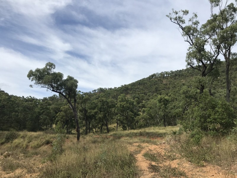 494 Yeppoon Road, Limestone Creek QLD 4701