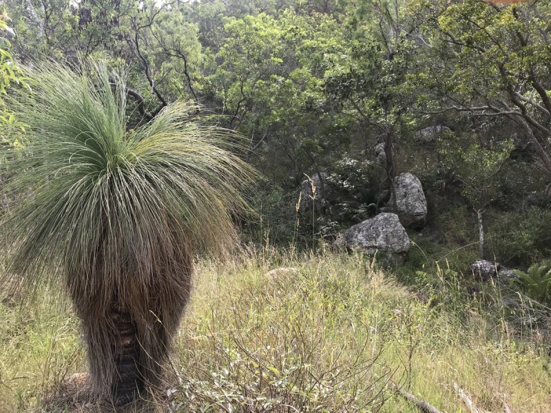 494 Yeppoon Road, Limestone Creek QLD 4701