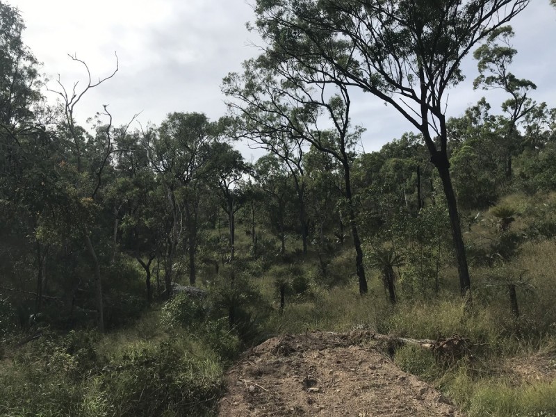 494 Yeppoon Road, Limestone Creek QLD 4701