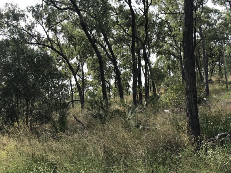 494 Yeppoon Road, Limestone Creek QLD 4701